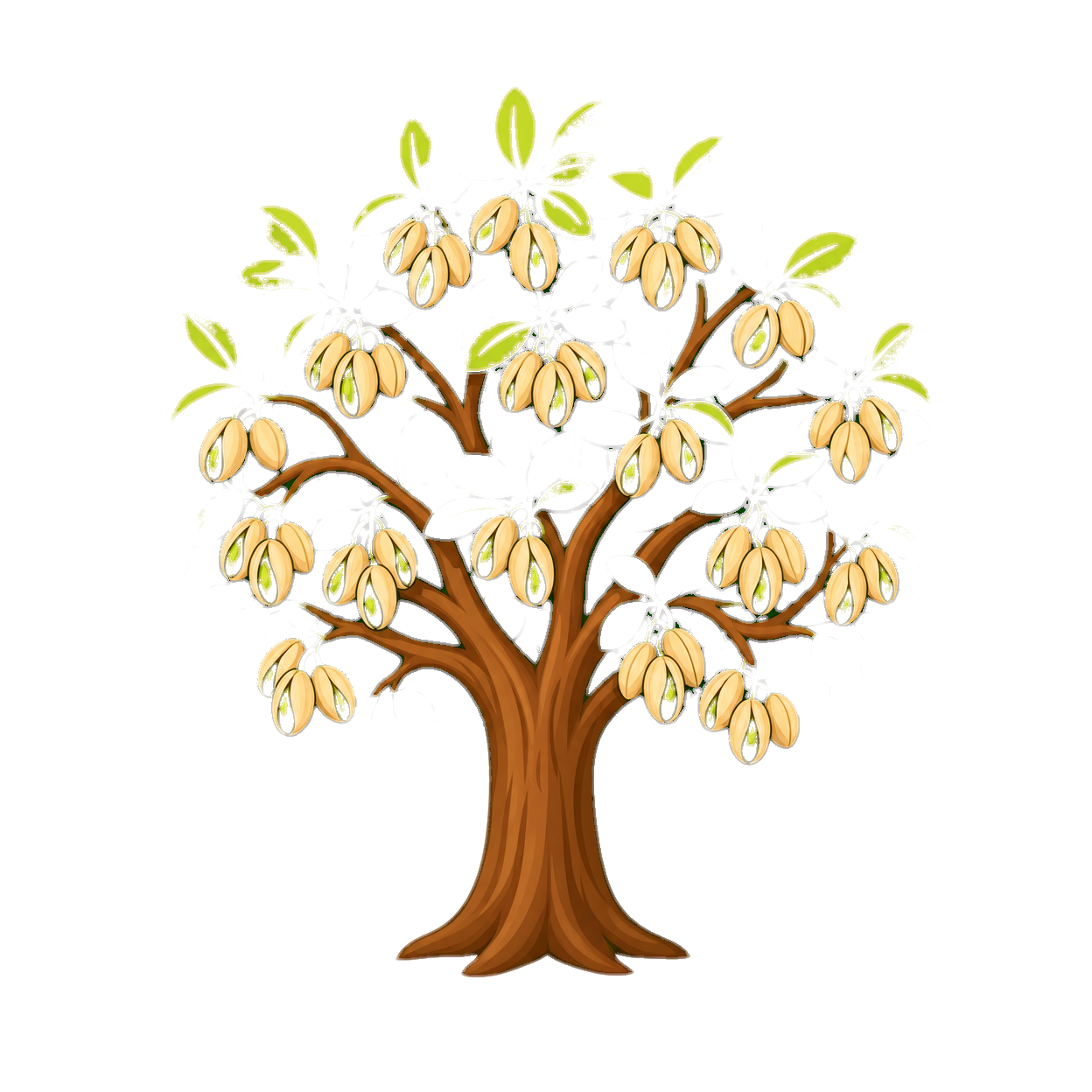 Jarran Ag Services pistachio tree logo